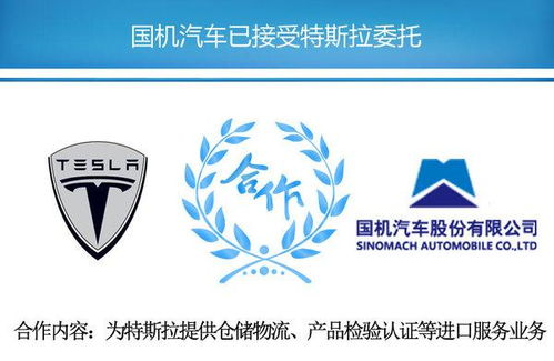 央企或成特斯拉中國總代理，國內貿易格局迎變局